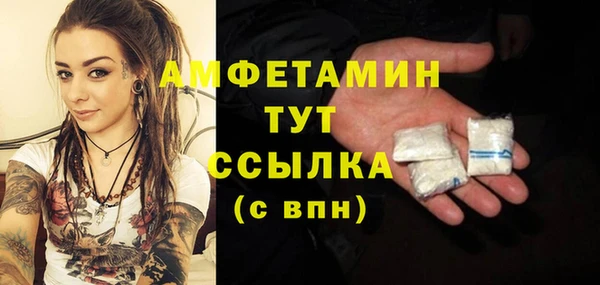 ПСИЛОЦИБИНОВЫЕ ГРИБЫ Абаза