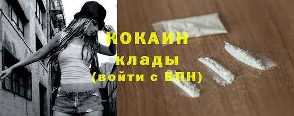 прущие грибы Абдулино