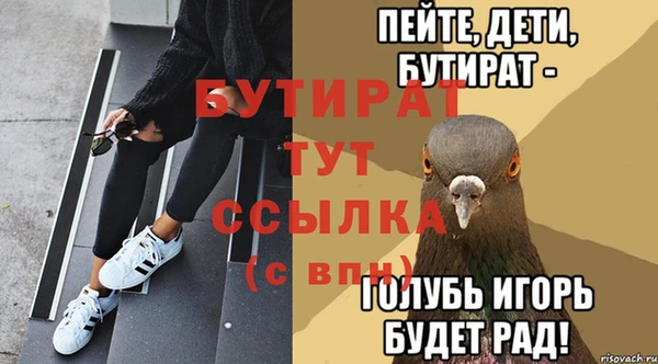 шишки Арсеньев