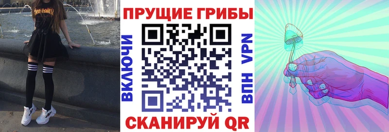 hydra ссылка  Орёл  Псилоцибиновые грибы GOLDEN TEACHER  купить  